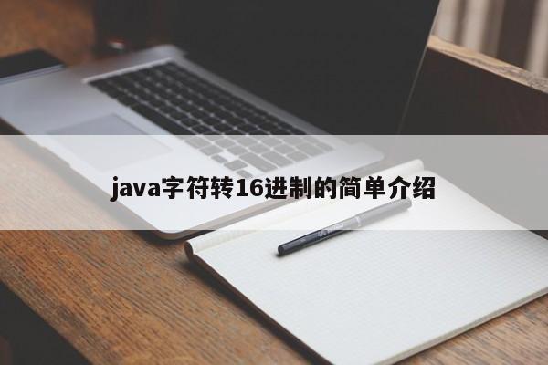 java字符转16进制的简单介绍