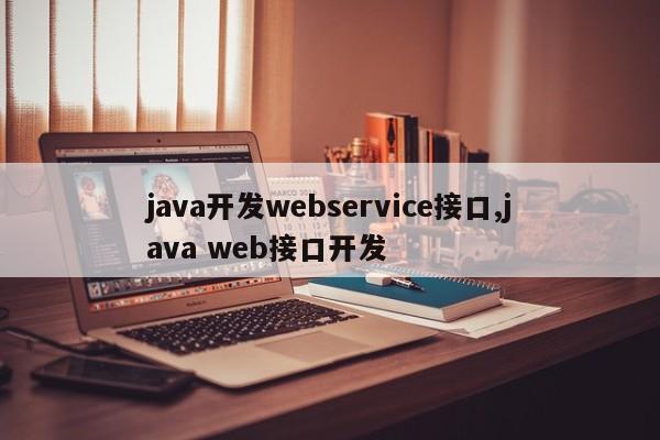 java开发webservice接口,java web接口开发